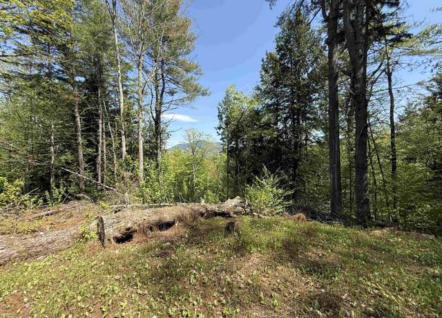 Property at 00 Senna Rd, Cavendish, VT 05142