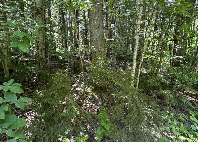 Property at 0 Boardman Loop, Wardsboro, VT 05360
