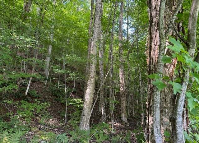 Property at Main St, Albany, VT 05820