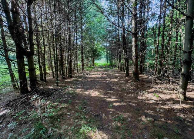 Property at 00 Woodsville Rd, Monroe, NH 03771