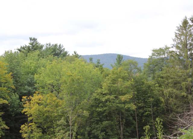 Property at 331 Church St, Wallingford, VT 05773