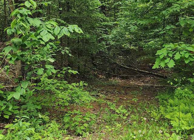 Property at Pine Ridge Rd #3, Middleton, NH 03887