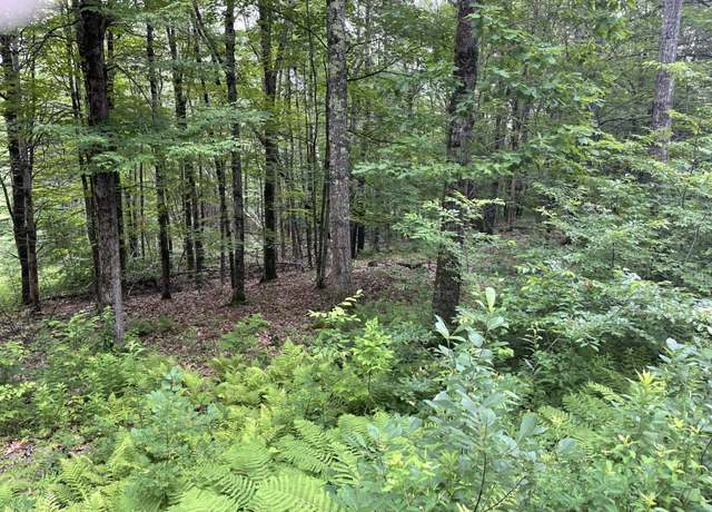 Property at 956 N Barnstead Rd, Barnstead, NH 03225