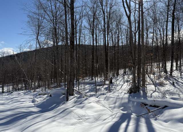 Property at Great Roaring Brook Rd Unit S-1c, Plymouth, VT 05056