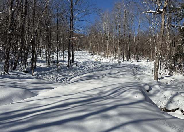 Property at Great Roaring Brook Rd Unit S-1d, Plymouth, VT 05056
