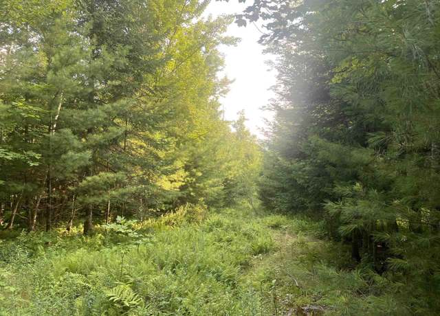 Property at Aldrich Mountain Ln Lot 4, Waterford, VT 05819