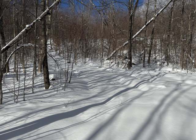 Property at Great Roaring Brook Rd Unit S-1e, Plymouth, VT 05056