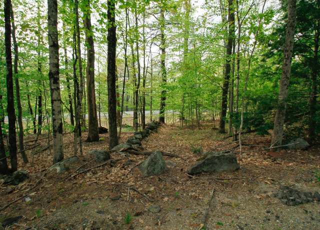 Property at 224 20 Elijah Beede Rd Lot 20, Sandwich, NH 03883