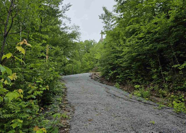 Property at 485 Bog Rd, Hillsborough, NH 03244