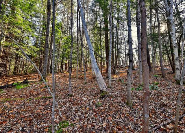 Property at 00 Partridge Rd #52, Ludlow, VT 05149