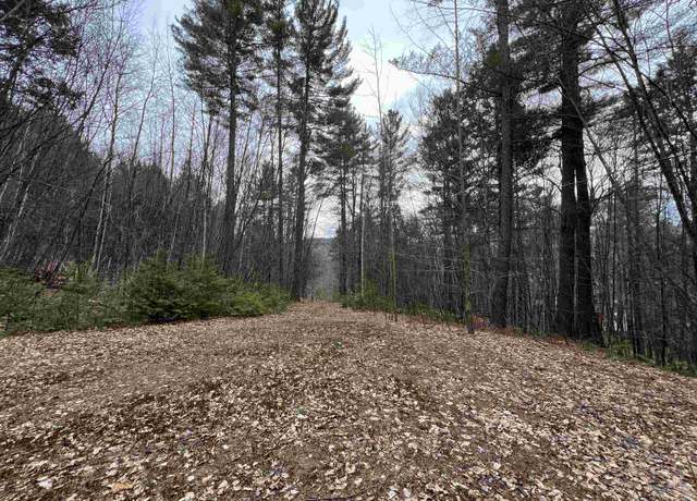 Property at 1 Berrie Ln, Townshend, VT 05353