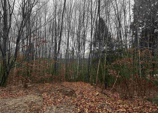 Property at 196 Old Pound Rd, Effingham, NH 03882