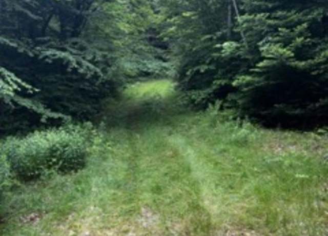 Property at 196 Old Pound Rd, Effingham, NH 03882