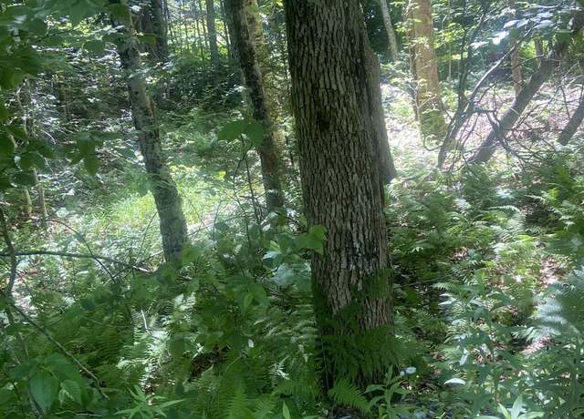 Property at 188 Cedar Ln #5, Peru, VT 05152
