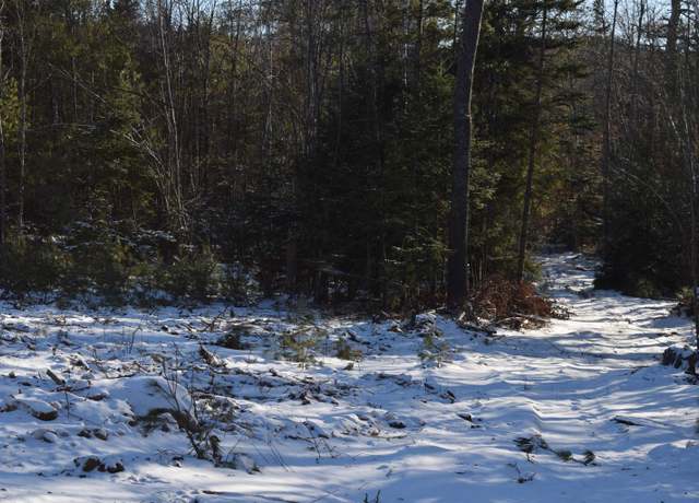 Property at Nutting Rd Lot 1, Sunapee, NH 03782