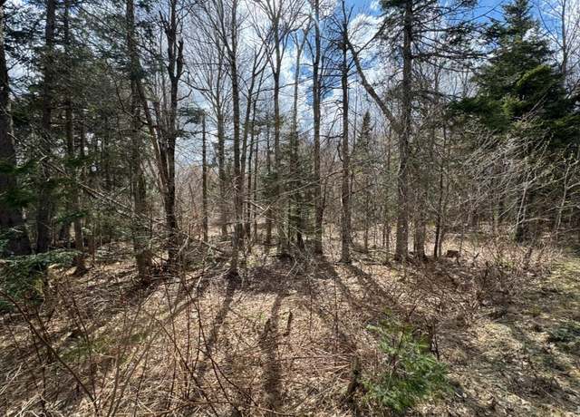 Property at 74 Antler Loop, Dover, VT 05356
