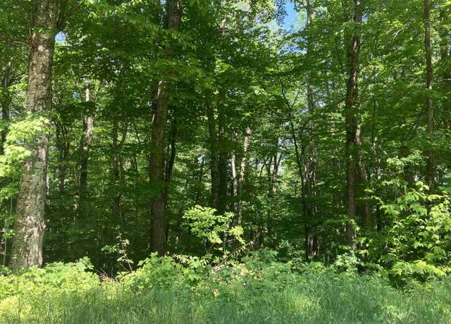 Property at 30 Upper Howes Way Unit A-30, Wilmington, VT 05363