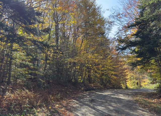 Property at 15 Running Sap Ln, Dover, VT 05356