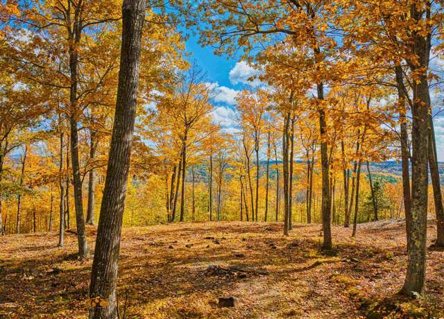 Property at 0 Beech Hill Rd #370, Andover, NH 03216