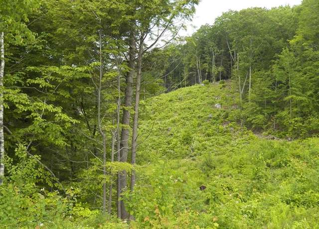 Property at 230-022 Thurlow St, Plymouth, NH 03264