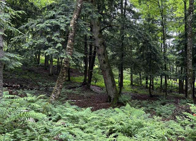 Property at 2176 Fish Hill Rd, Randolph, VT 05060