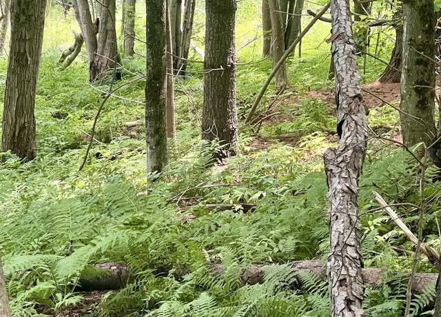 Property at 1-3 Hill St Lot 1-3, Montpelier, VT 05601