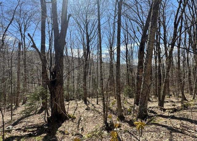 Property at 0 Aplendorf Ave Lot 92, Readsboro, VT 05350