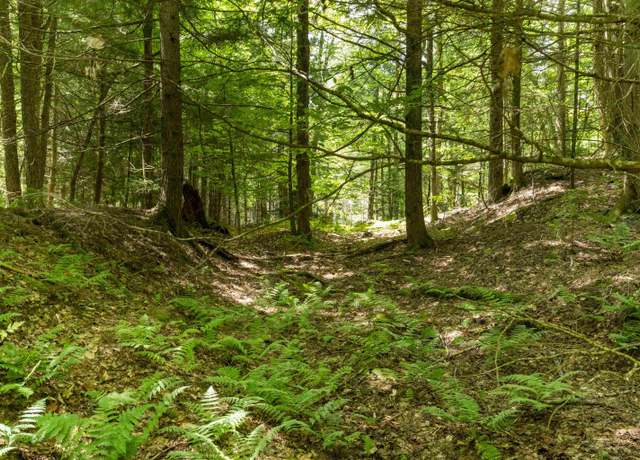 Property at TBD Arbor Ln #13, Duxbury, VT 05660