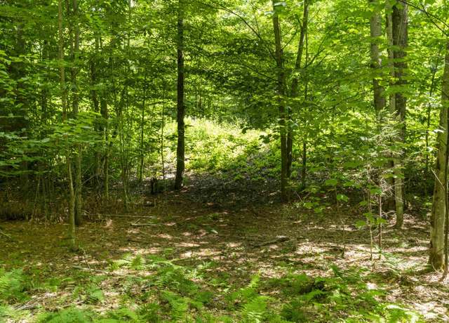 Property at TBD Taylor Rd #9, Duxbury, VT 05660