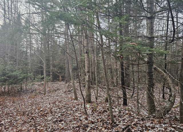 Property at 461 Hill Rd Unit Map R14, Lot 4  ( land only), Dummer, NH 03588