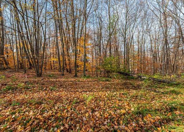 Property at OA East Manchester Rd, Manchester, VT 05255