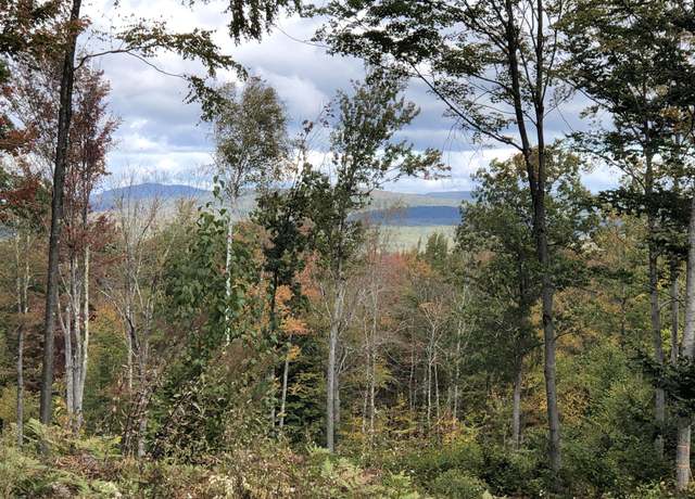 Property at 67 Dobbins Way, Alton, NH 03809