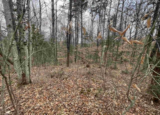 Property at 00 NH Route 118, Dorchester, NH 03266