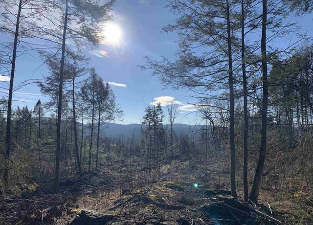 Property at Map3 Lot9-1 Scotland Rd Unit 9-1, Winchester, NH 03470