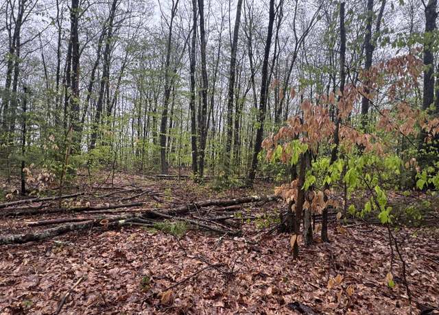 Property at 0 Old Walpole Rd #004, Surry, NH 03431