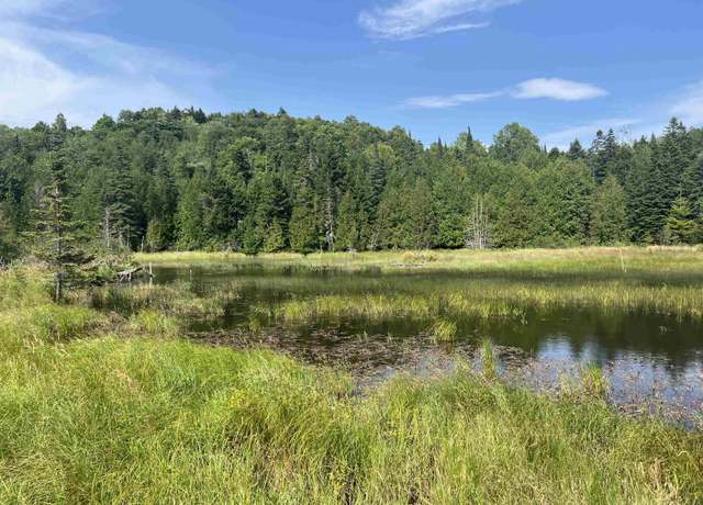 Property at 0 Hartwell Pond Rd, Albany, VT 05875