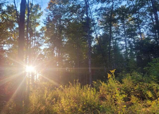 Property at 0 Sutton Rd, Wheelock, VT 05851