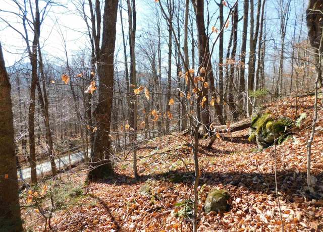 Property at 00 Highland Dr #1, Montgomery, VT 05471