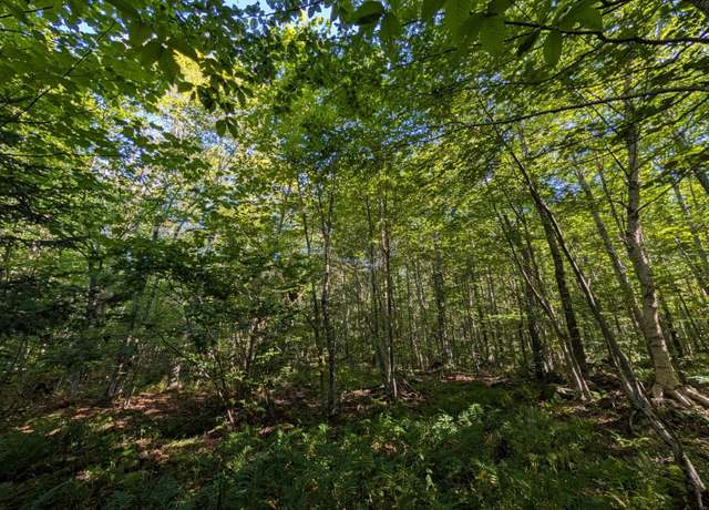 Property at 00 Highland Dr #1, Montgomery, VT 05471