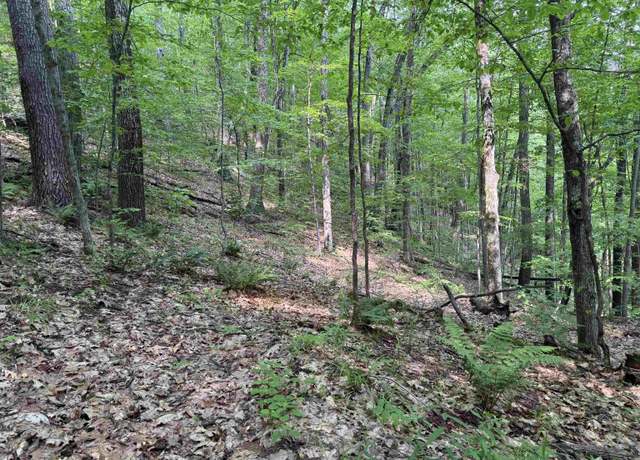 Property at 0 Ober Hill Rd, Townshend, VT 05353