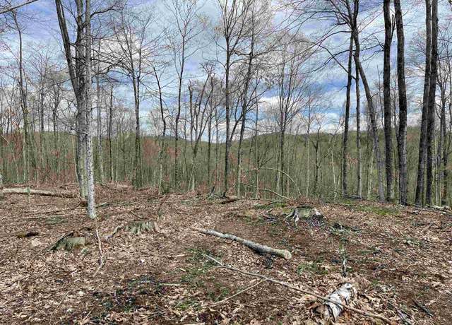Property at 0 Grandview Rd, Williamstown, VT 05079
