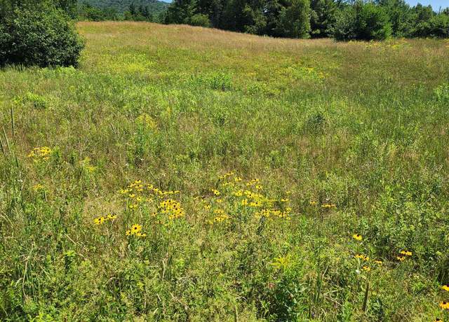 Property at 0 Route 115 #3, Carroll, NH 03595