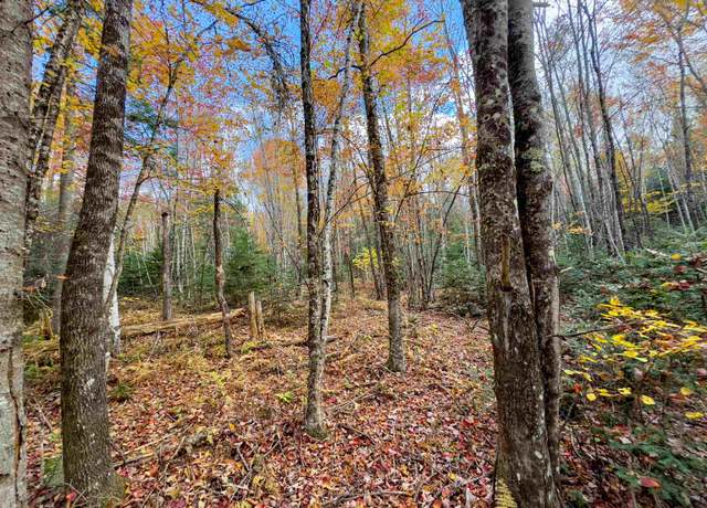 Property at 00 W Main St, Lunenburg, VT 05906