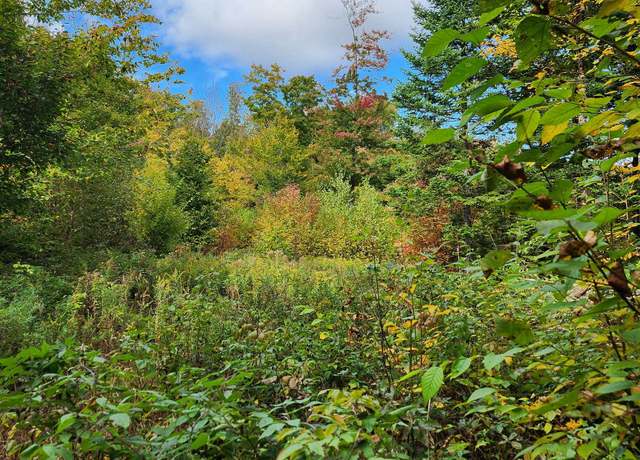 Property at Off Groton North Rd #56, Groton, NH 03241