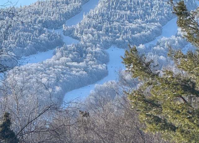 Property at 80 The Hollow Rd Unit D4, Winhall, VT 05340