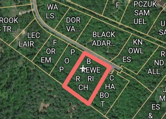 Property at 9 Lady Slipper Ln, Moultonborough, NH 03254