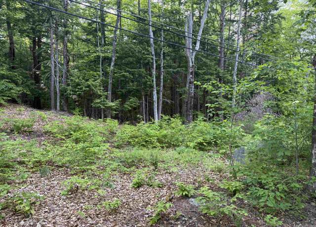 Property at Map 5 20-4 Black Brook Rd Lot 20-4, Sanbornton, NH 03269