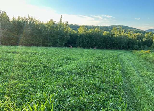 Property at Map 7 1 Battle St Lot 1, Webster, NH 03303