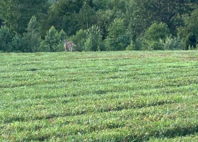 Property at Map 7 1, 298 Battle St Lot 1,, Webster, NH 03303