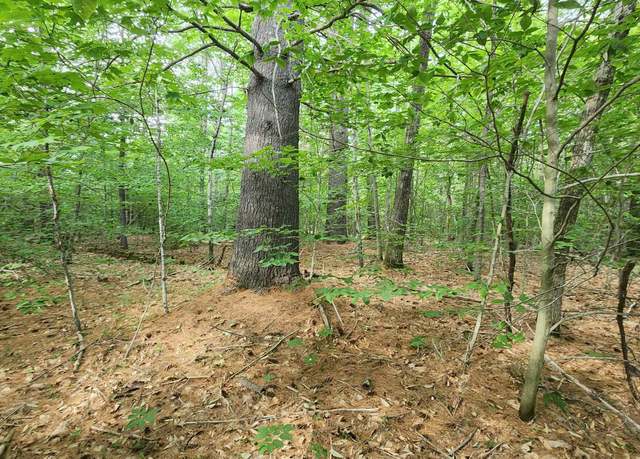 Property at TBD Middle Rte #8001, Gilmanton, NH 03237